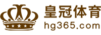 Logo 诺亚体育